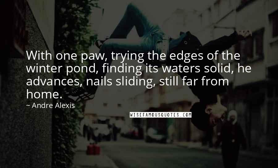 Andre Alexis Quotes: With one paw, trying the edges of the winter pond, finding its waters solid, he advances, nails sliding, still far from home.