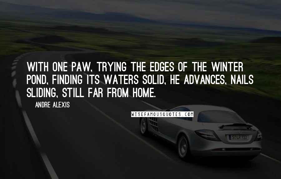 Andre Alexis Quotes: With one paw, trying the edges of the winter pond, finding its waters solid, he advances, nails sliding, still far from home.