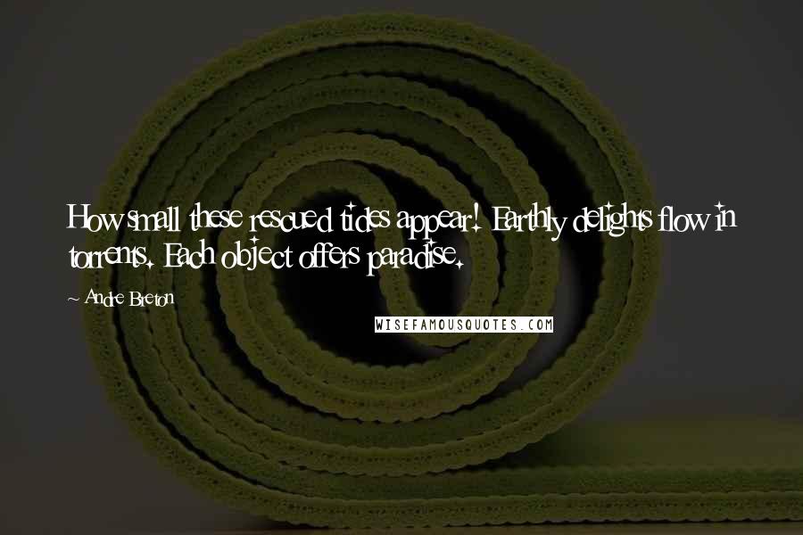 Andre Breton Quotes: How small these rescued tides appear! Earthly delights flow in torrents. Each object offers paradise.