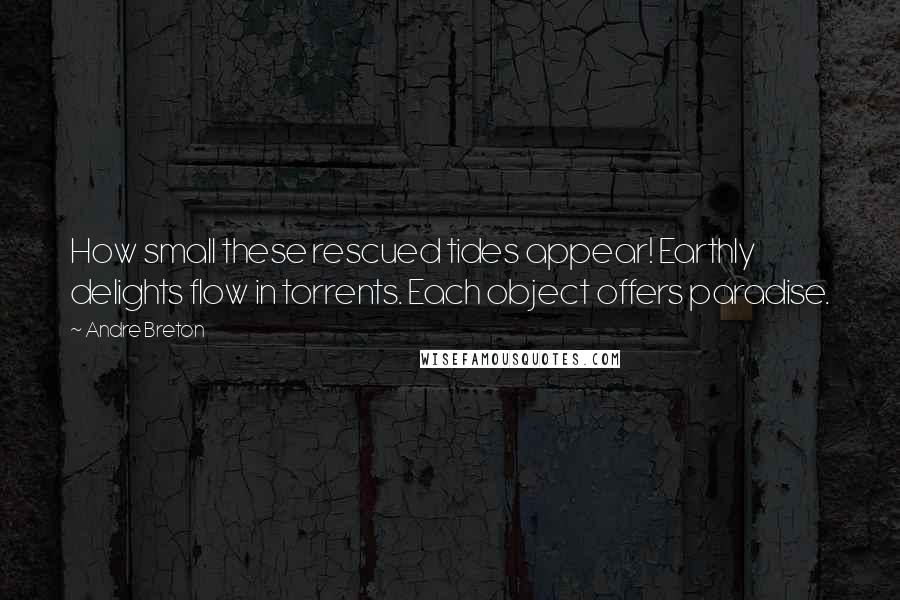 Andre Breton Quotes: How small these rescued tides appear! Earthly delights flow in torrents. Each object offers paradise.