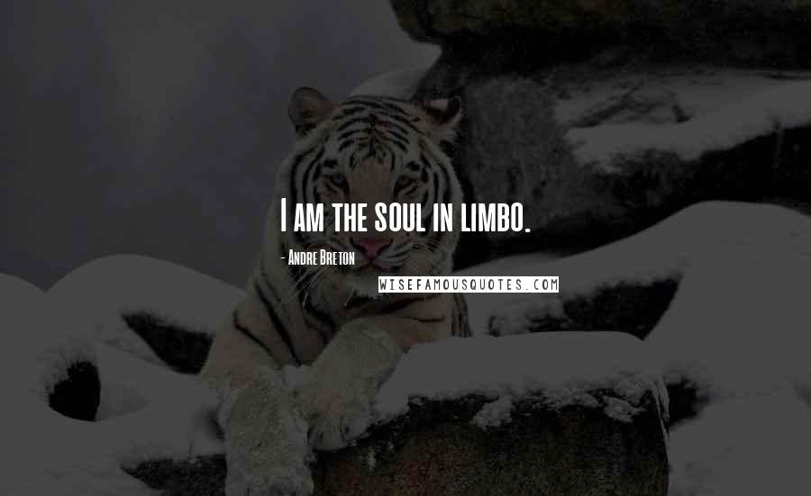 Andre Breton Quotes: I am the soul in limbo.