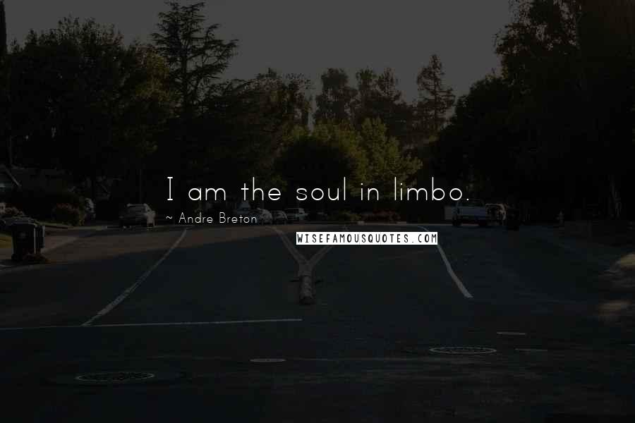 Andre Breton Quotes: I am the soul in limbo.
