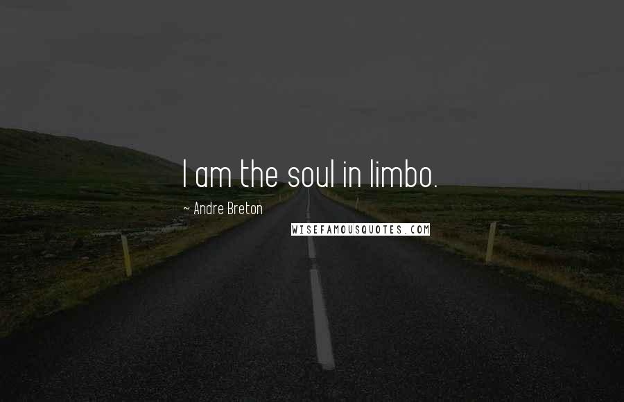 Andre Breton Quotes: I am the soul in limbo.