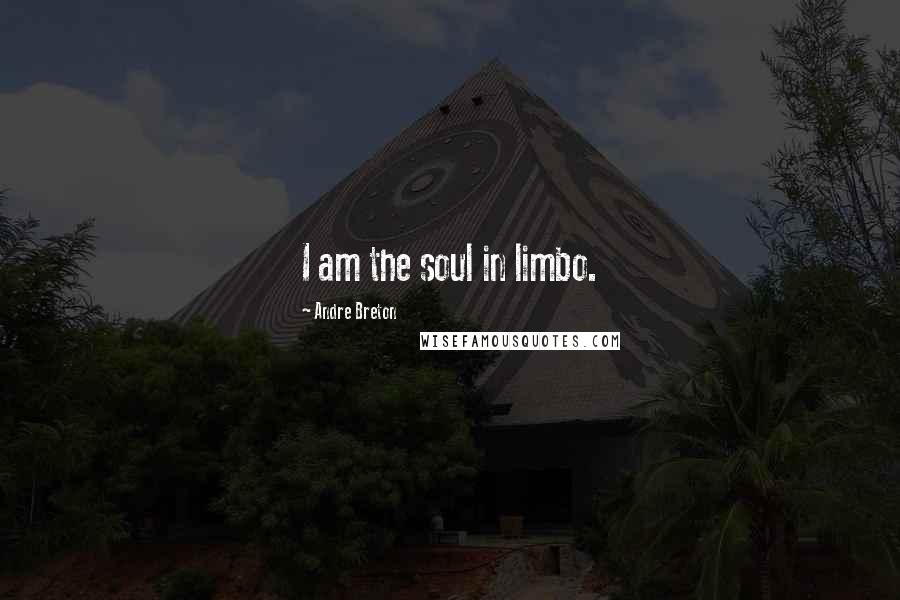 Andre Breton Quotes: I am the soul in limbo.