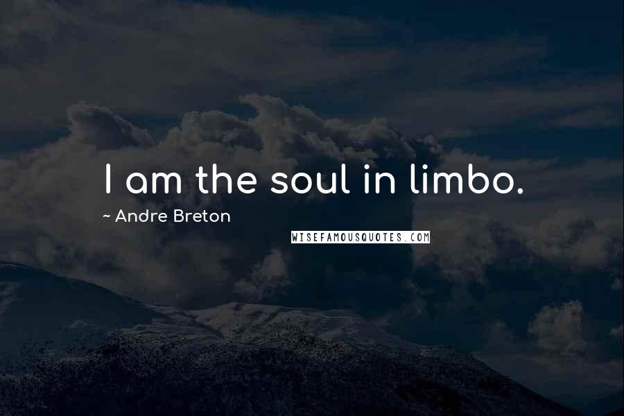 Andre Breton Quotes: I am the soul in limbo.