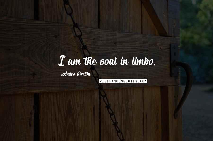 Andre Breton Quotes: I am the soul in limbo.
