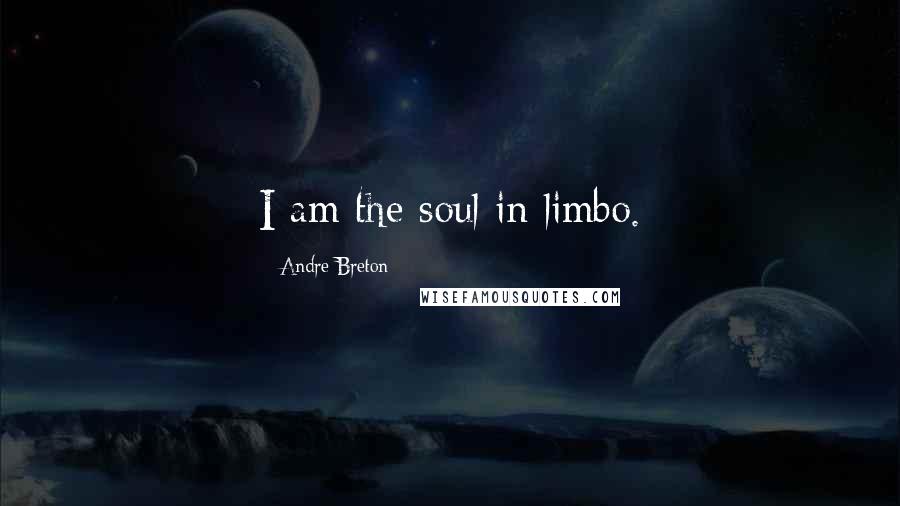 Andre Breton Quotes: I am the soul in limbo.