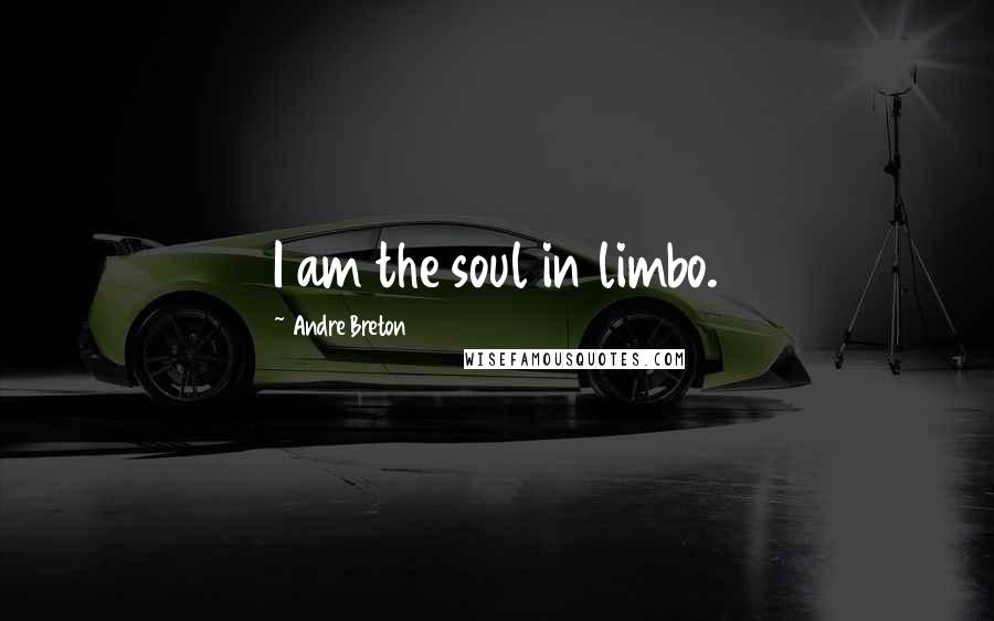 Andre Breton Quotes: I am the soul in limbo.