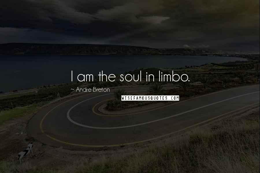 Andre Breton Quotes: I am the soul in limbo.