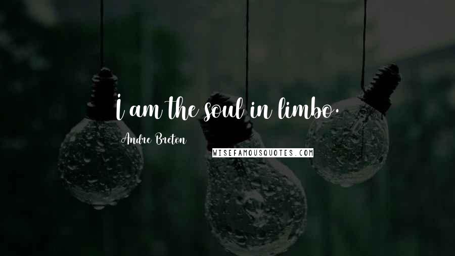 Andre Breton Quotes: I am the soul in limbo.