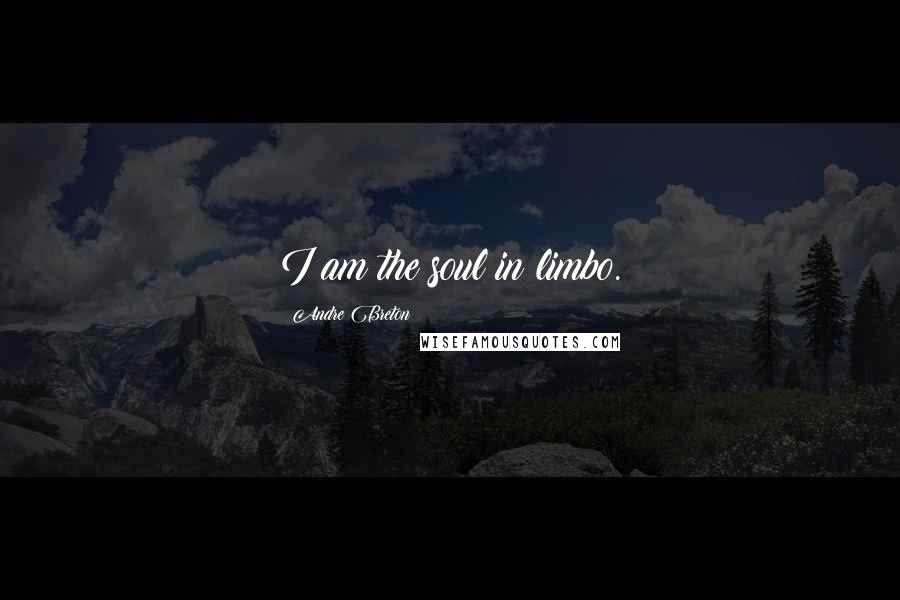 Andre Breton Quotes: I am the soul in limbo.