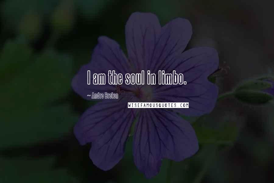 Andre Breton Quotes: I am the soul in limbo.