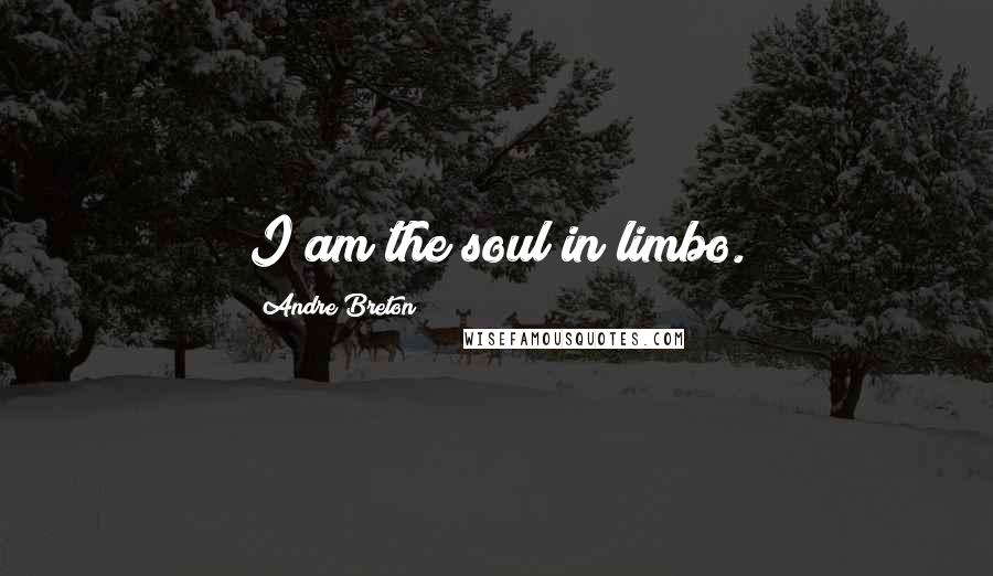 Andre Breton Quotes: I am the soul in limbo.