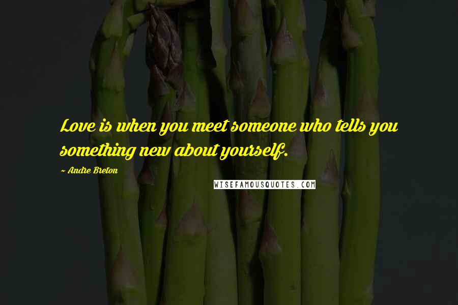 Andre Breton Quotes: Love is when you meet someone who tells you something new about yourself.