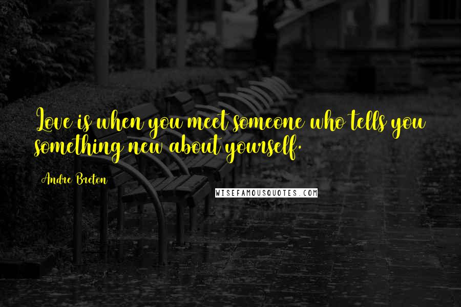 Andre Breton Quotes: Love is when you meet someone who tells you something new about yourself.