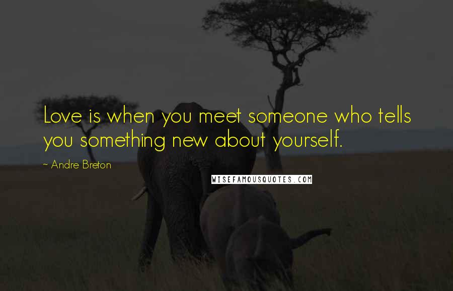 Andre Breton Quotes: Love is when you meet someone who tells you something new about yourself.