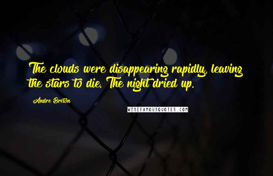Andre Breton Quotes: The clouds were disappearing rapidly, leaving the stars to die. The night dried up.