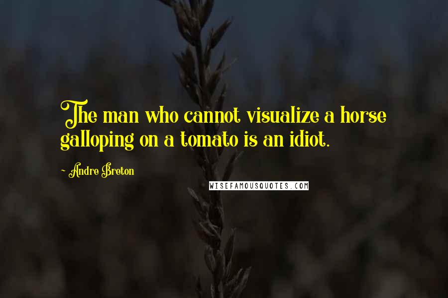 Andre Breton Quotes: The man who cannot visualize a horse galloping on a tomato is an idiot.