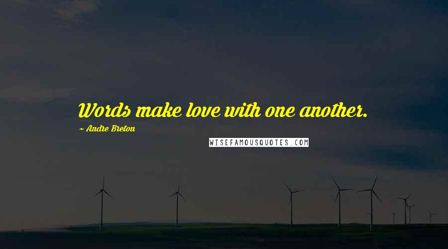 Andre Breton Quotes: Words make love with one another.