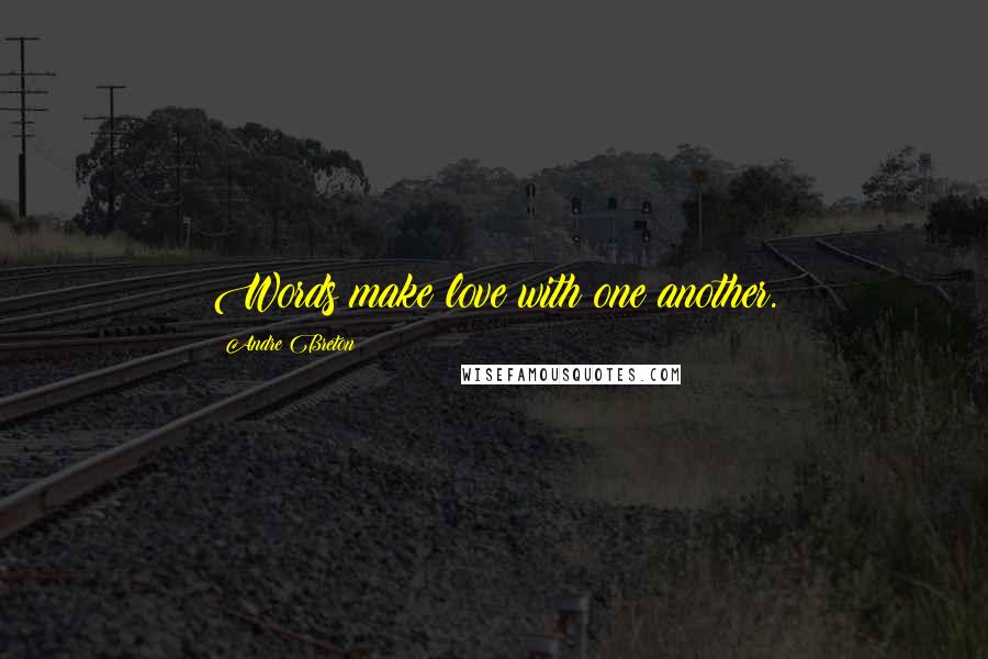 Andre Breton Quotes: Words make love with one another.