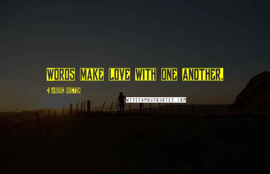 Andre Breton Quotes: Words make love with one another.