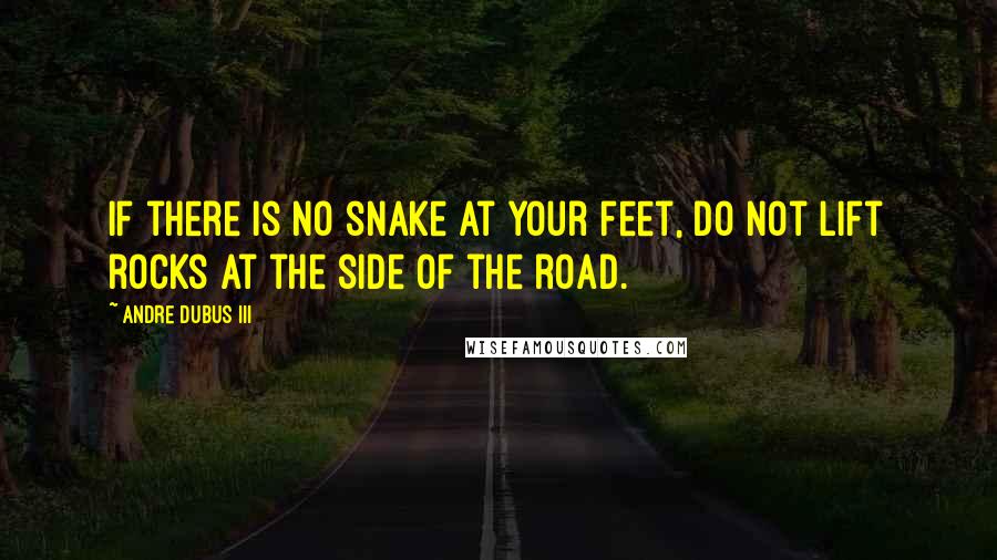 Andre Dubus III Quotes: If there is no snake at your feet, do not lift rocks at the side of the road.