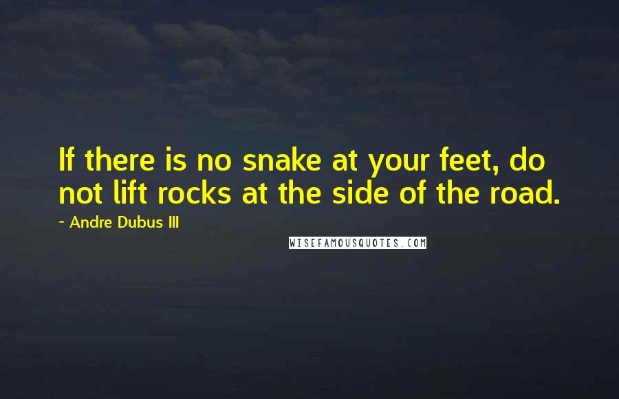 Andre Dubus III Quotes: If there is no snake at your feet, do not lift rocks at the side of the road.