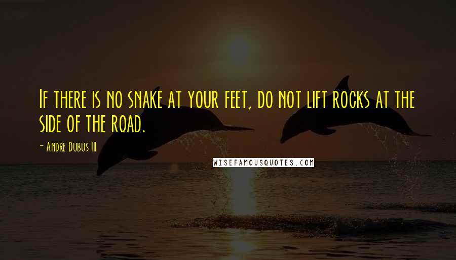 Andre Dubus III Quotes: If there is no snake at your feet, do not lift rocks at the side of the road.