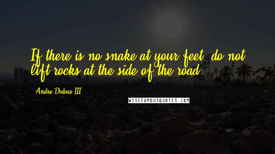 Andre Dubus III Quotes: If there is no snake at your feet, do not lift rocks at the side of the road.
