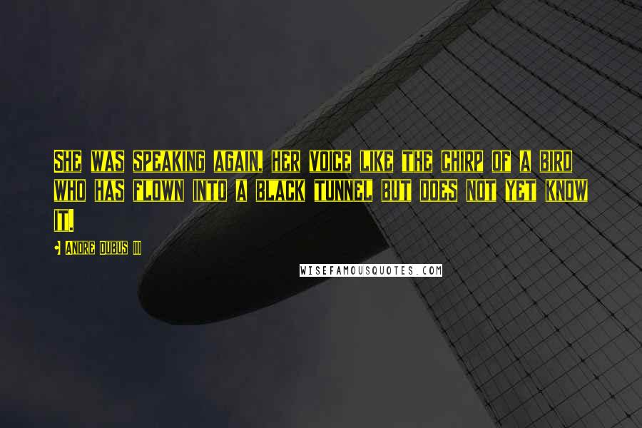 Andre Dubus III Quotes: She was speaking again, her voice like the chirp of a bird who has flown into a black tunnel but does not yet know it.