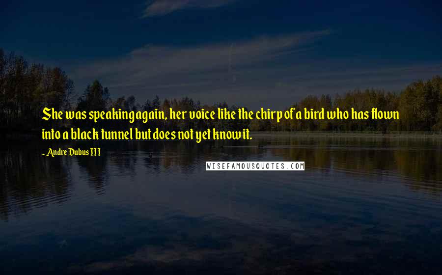 Andre Dubus III Quotes: She was speaking again, her voice like the chirp of a bird who has flown into a black tunnel but does not yet know it.