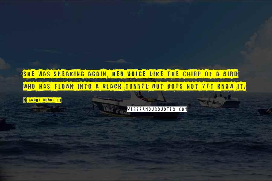 Andre Dubus III Quotes: She was speaking again, her voice like the chirp of a bird who has flown into a black tunnel but does not yet know it.