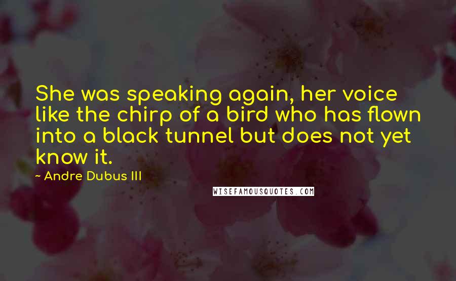 Andre Dubus III Quotes: She was speaking again, her voice like the chirp of a bird who has flown into a black tunnel but does not yet know it.
