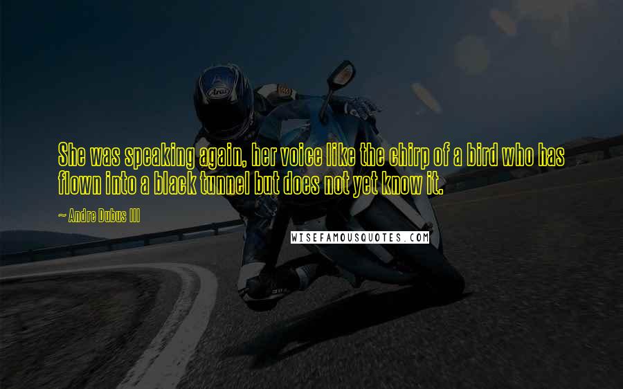 Andre Dubus III Quotes: She was speaking again, her voice like the chirp of a bird who has flown into a black tunnel but does not yet know it.