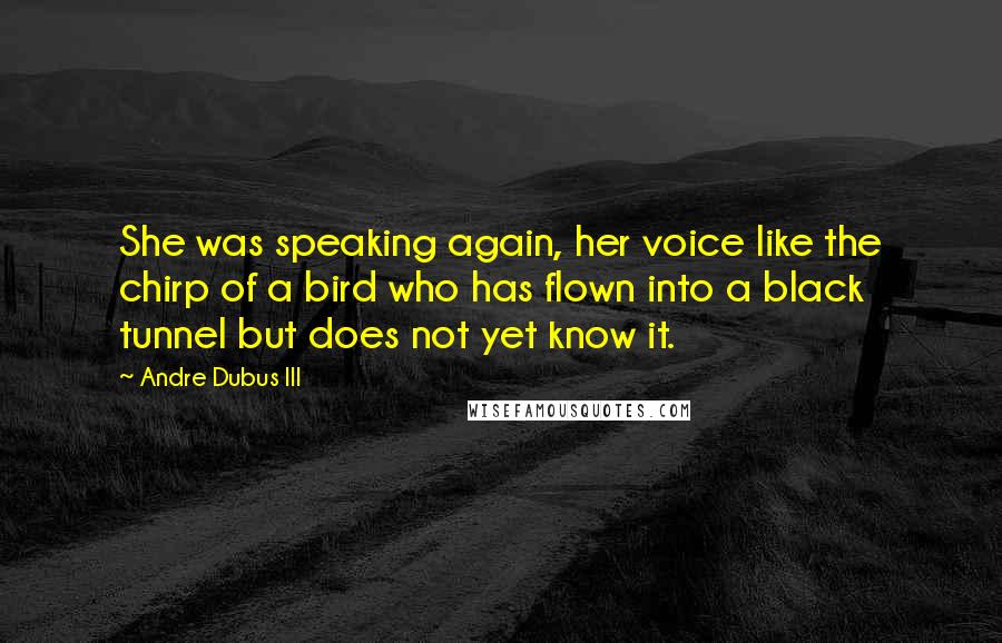 Andre Dubus III Quotes: She was speaking again, her voice like the chirp of a bird who has flown into a black tunnel but does not yet know it.