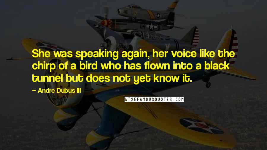 Andre Dubus III Quotes: She was speaking again, her voice like the chirp of a bird who has flown into a black tunnel but does not yet know it.