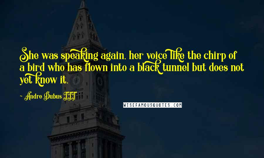 Andre Dubus III Quotes: She was speaking again, her voice like the chirp of a bird who has flown into a black tunnel but does not yet know it.