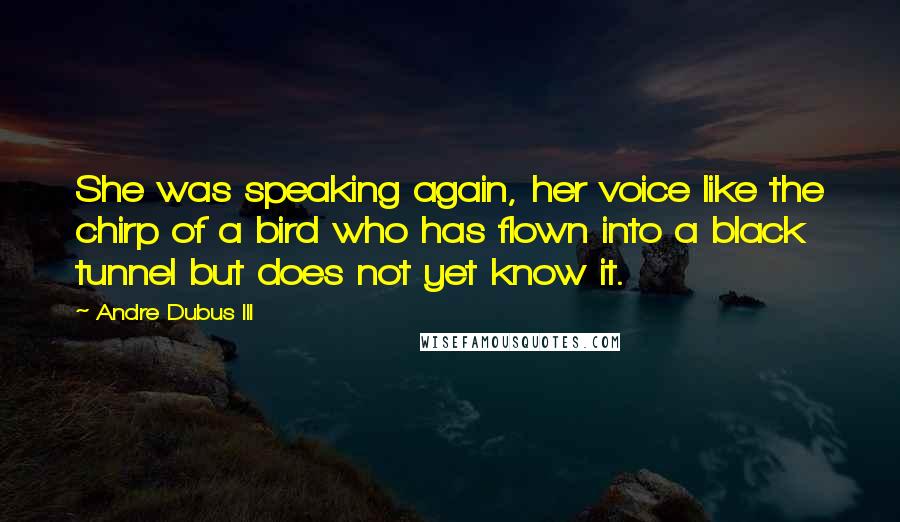 Andre Dubus III Quotes: She was speaking again, her voice like the chirp of a bird who has flown into a black tunnel but does not yet know it.