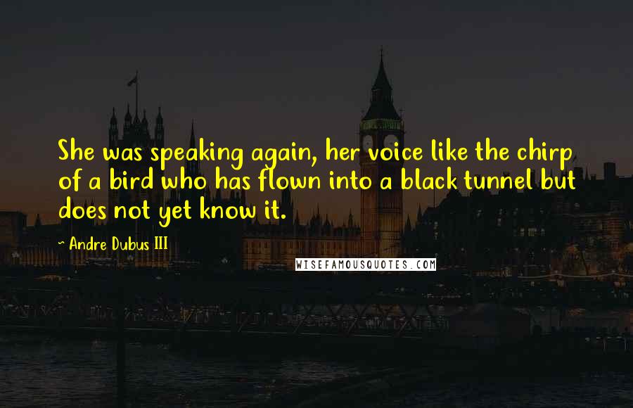 Andre Dubus III Quotes: She was speaking again, her voice like the chirp of a bird who has flown into a black tunnel but does not yet know it.