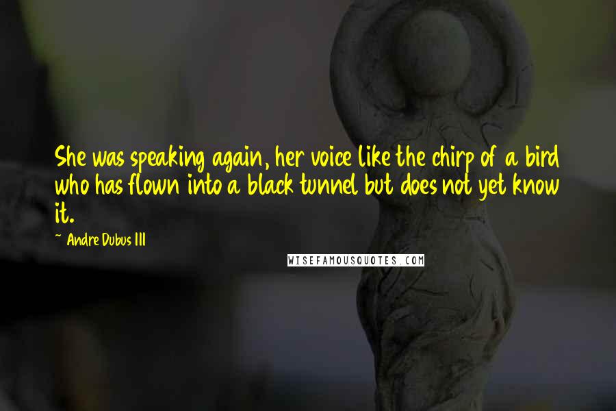 Andre Dubus III Quotes: She was speaking again, her voice like the chirp of a bird who has flown into a black tunnel but does not yet know it.