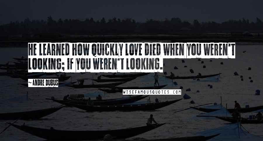 Andre Dubus Quotes: He learned how quickly love died when you weren't looking; if you weren't looking.