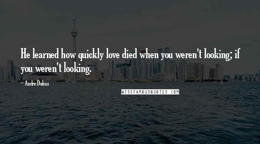 Andre Dubus Quotes: He learned how quickly love died when you weren't looking; if you weren't looking.