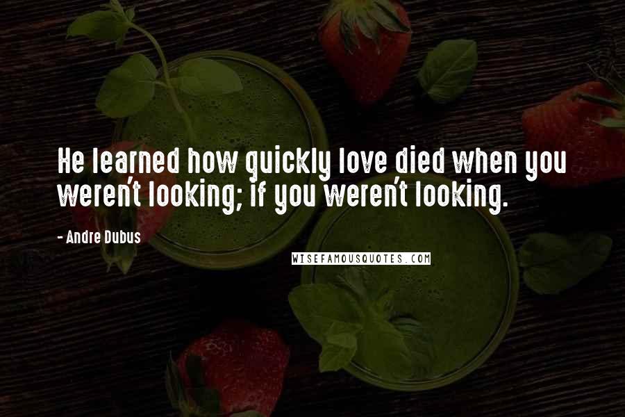 Andre Dubus Quotes: He learned how quickly love died when you weren't looking; if you weren't looking.