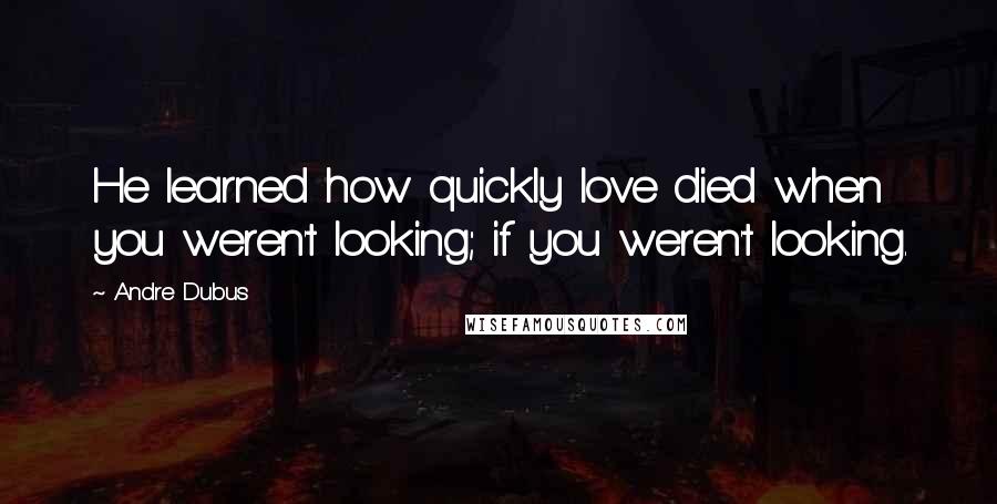 Andre Dubus Quotes: He learned how quickly love died when you weren't looking; if you weren't looking.