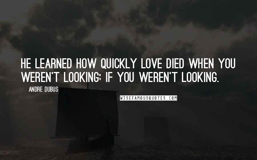 Andre Dubus Quotes: He learned how quickly love died when you weren't looking; if you weren't looking.