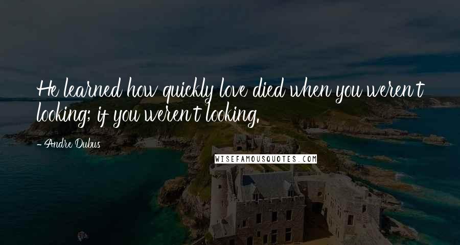 Andre Dubus Quotes: He learned how quickly love died when you weren't looking; if you weren't looking.