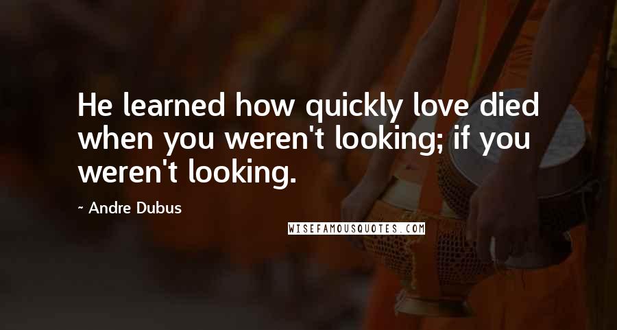 Andre Dubus Quotes: He learned how quickly love died when you weren't looking; if you weren't looking.