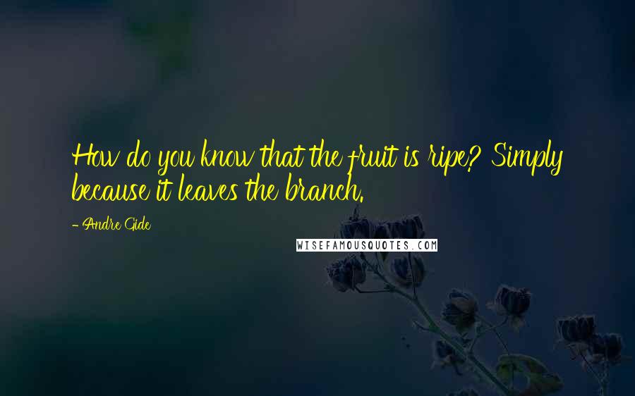 Andre Gide Quotes: How do you know that the fruit is ripe? Simply because it leaves the branch.