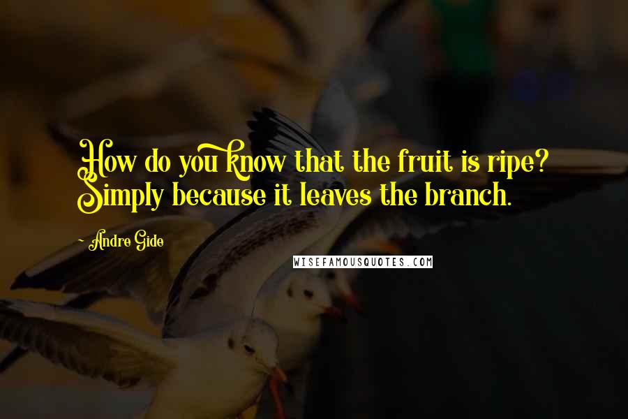 Andre Gide Quotes: How do you know that the fruit is ripe? Simply because it leaves the branch.