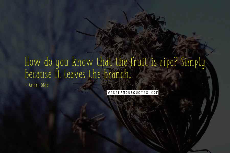 Andre Gide Quotes: How do you know that the fruit is ripe? Simply because it leaves the branch.